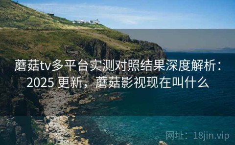 蘑菇tv多平台实测对照结果深度解析：2025 更新，蘑菇影视现在叫什么